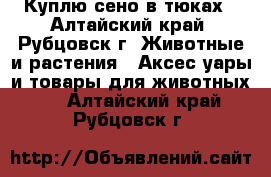 Куплю сено в тюках - Алтайский край, Рубцовск г. Животные и растения » Аксесcуары и товары для животных   . Алтайский край,Рубцовск г.